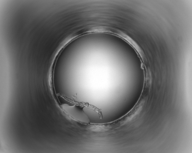 X0000098110909200804111053