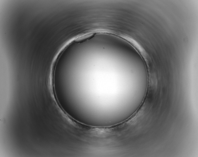 X0000098110910200804111053
