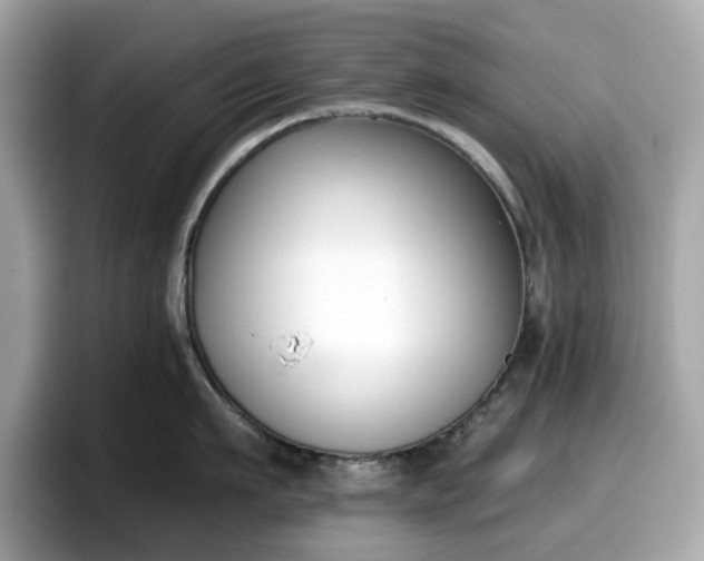 X0000098110911200804111053