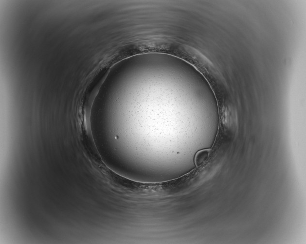 X0000098110915200804111052