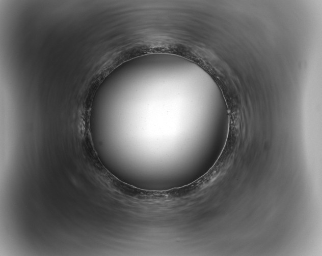 X0000098110916200804111052