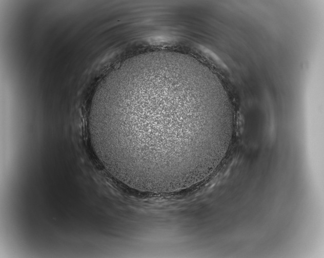 X0000098110917200804111052