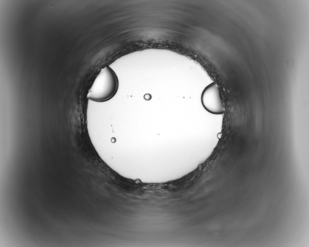 X0000098110918200804111052
