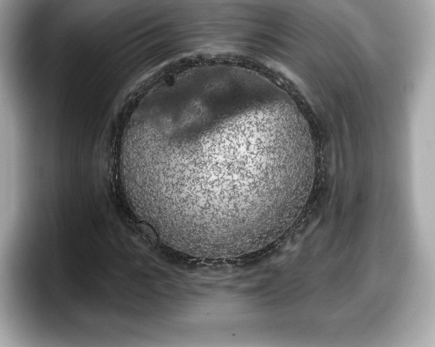 X0000098110919200804111052