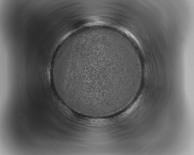 X0000098110921200804111052