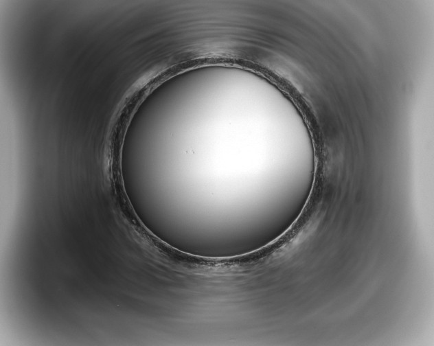 X0000098110922200804111052