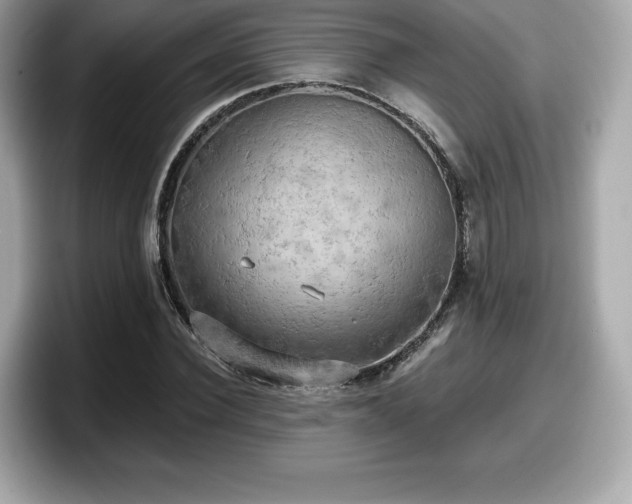 X0000098110924200804111052