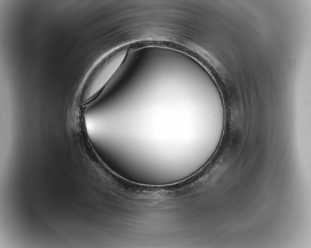 X0000098110926200804111052