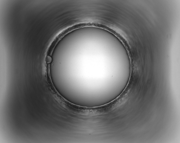 X0000098110927200804111052