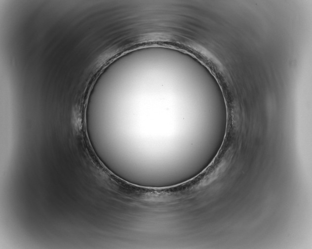 X0000098110929200804111052