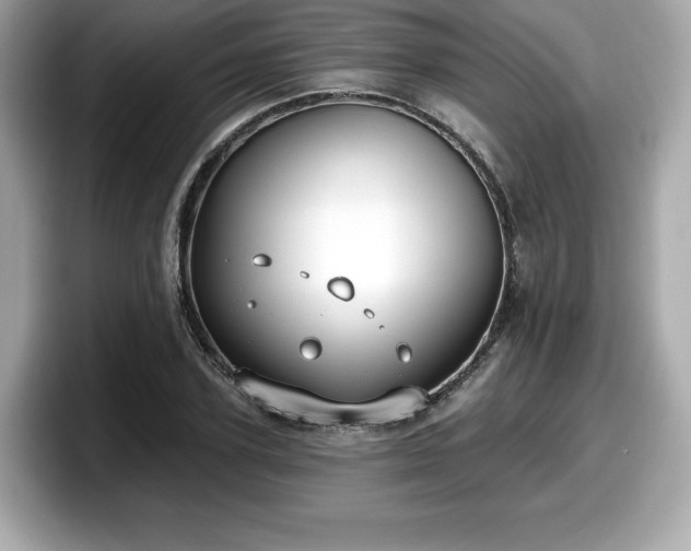 X0000098110931200804111052