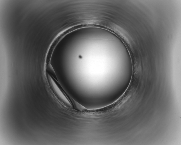X0000098110932200804111052