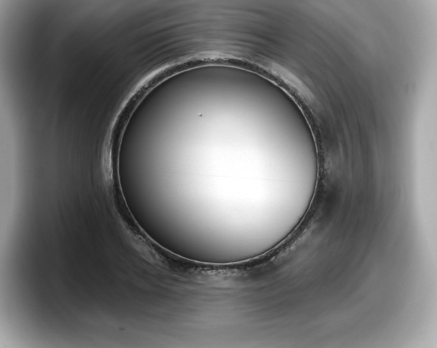 X0000098110934200804111052