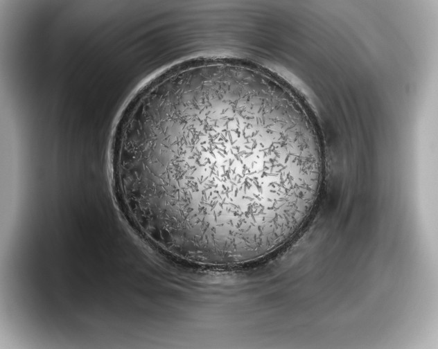 X0000098110935200804111052