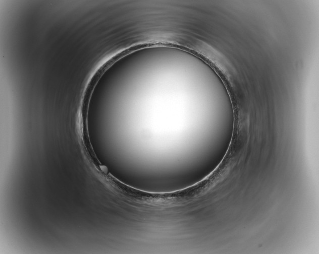 X0000098110936200804111052
