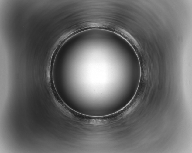X0000098110938200804111052