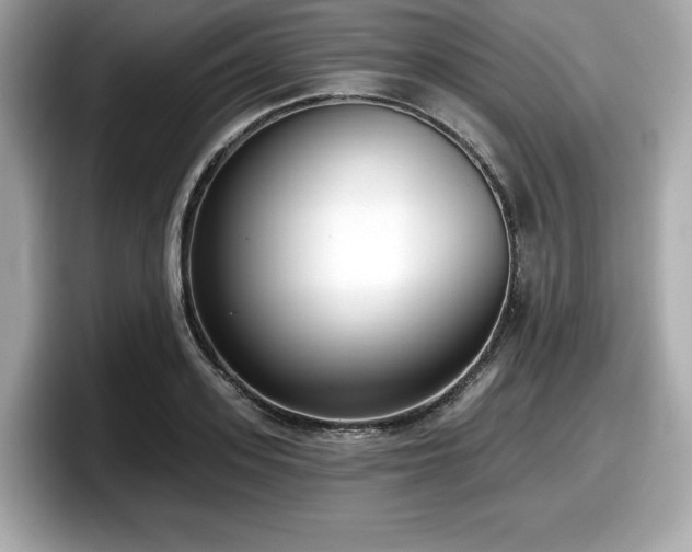 X0000098110939200804111052