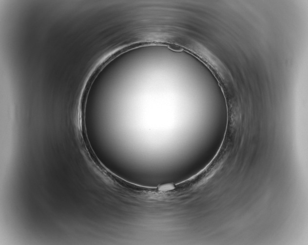 X0000098110940200804111052