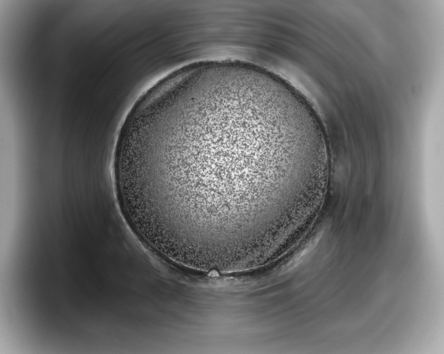 X0000098110943200804111052