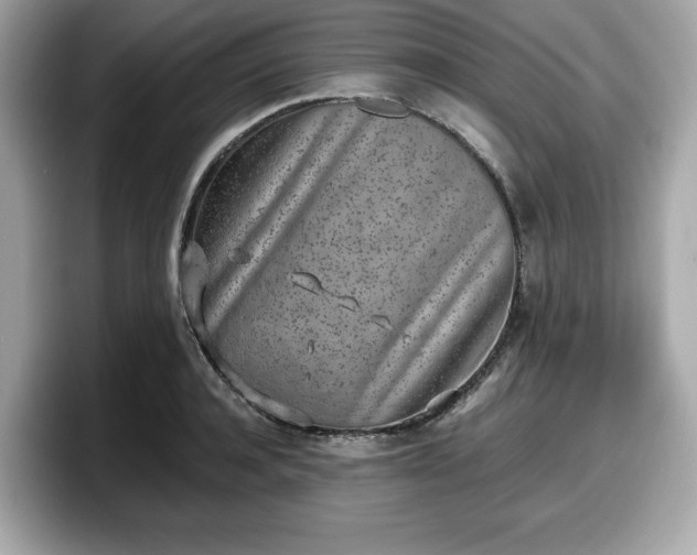 X0000098110944200804111052