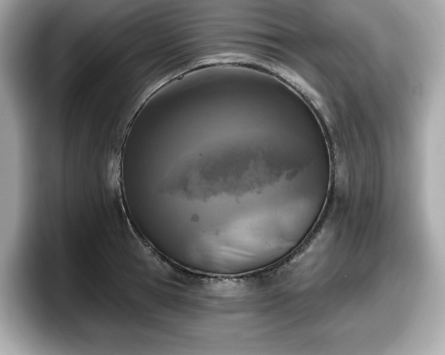 X0000098110945200804111052