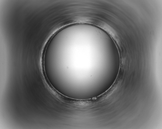 X0000098110947200804111052