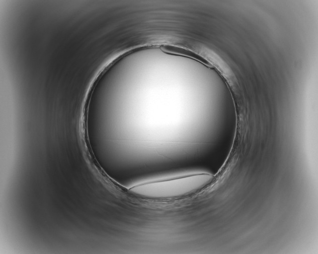 X0000098110948200804111052