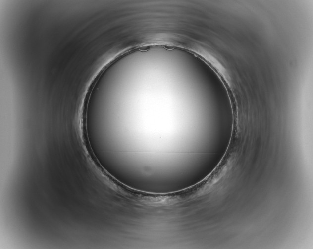 X0000098110949200804111052