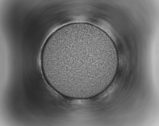 X0000098110950200804111052