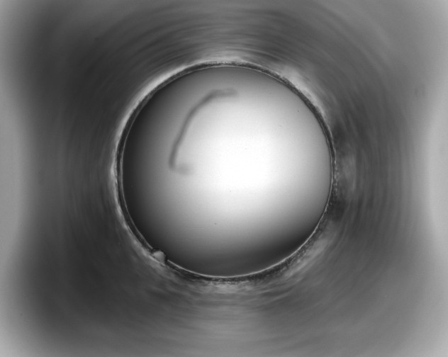 X0000098110951200804111052