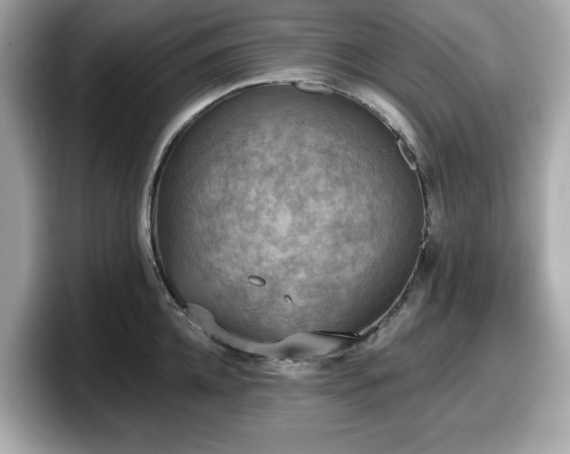 X0000098110952200804111052