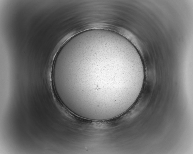 X0000098110954200804111052