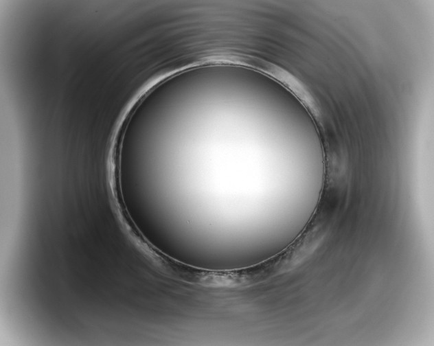 X0000098110955200804111052