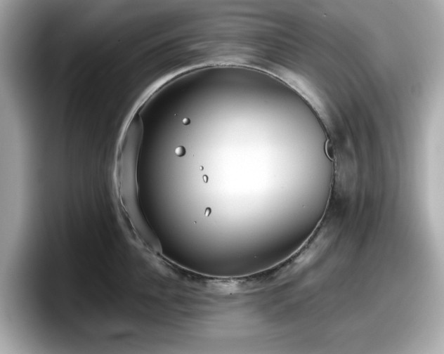 X0000098110956200804111052