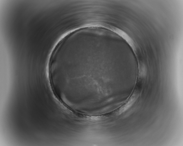 X0000098110958200804111052