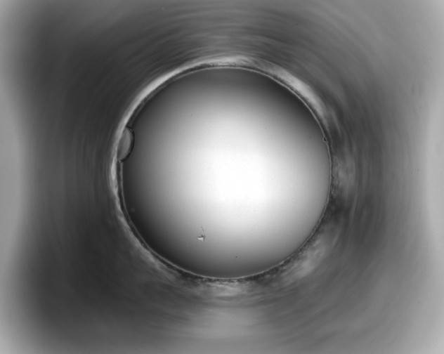 X0000098110959200804111052