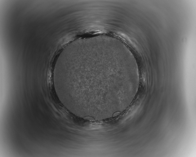 X0000098110964200804111052
