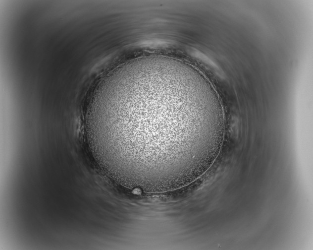 X0000098110966200804111052