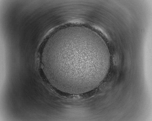 X0000098110968200804111052