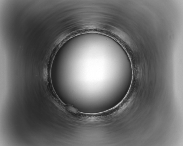 X0000098110969200804111052
