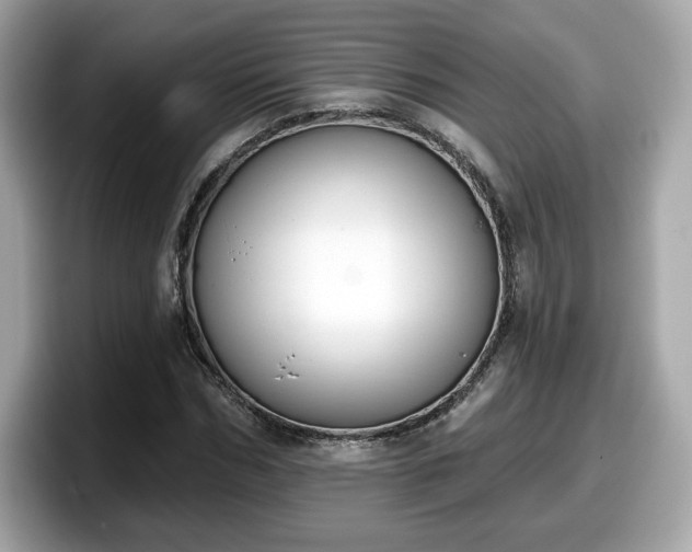 X0000098110970200804111052