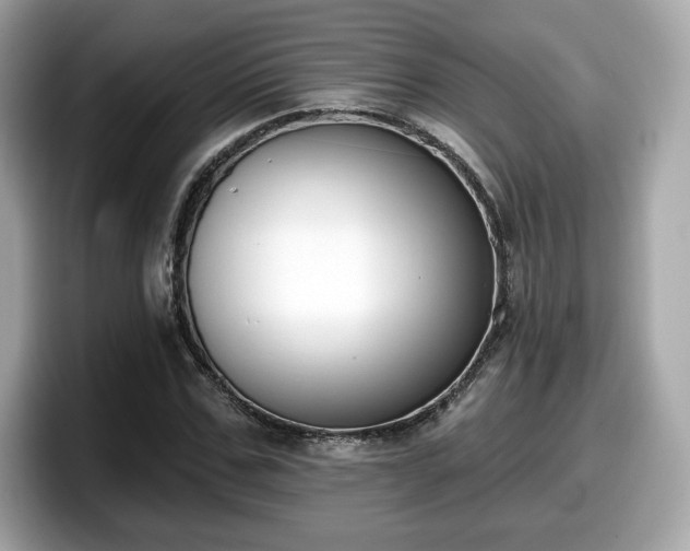 X0000098110971200804111052