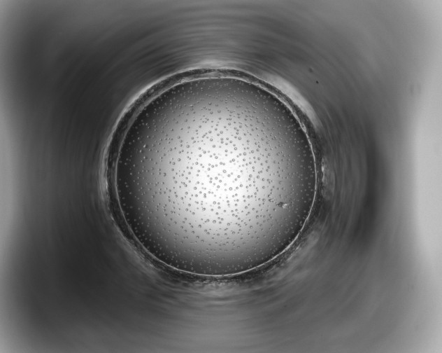 X0000098110972200804111052