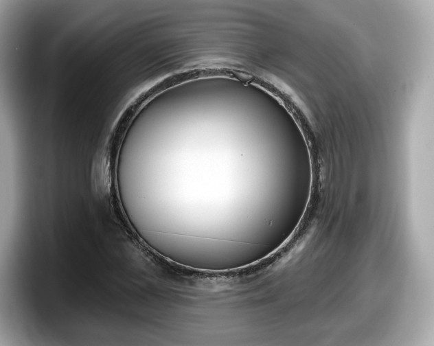 X0000098110973200804111052