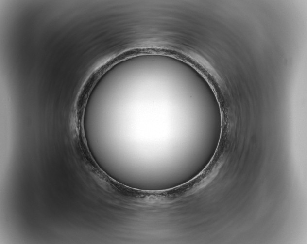 X0000098110974200804111052
