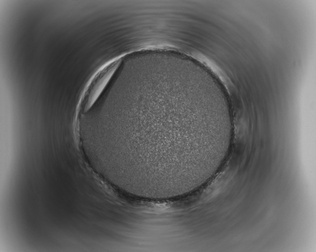 X0000098110975200804111052