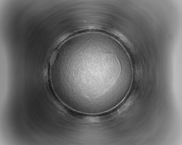 X0000098110977200804111052