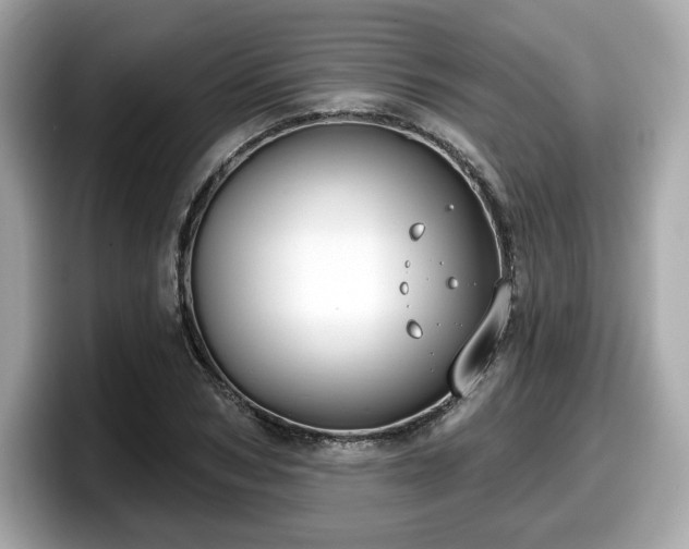 X0000098110978200804111052