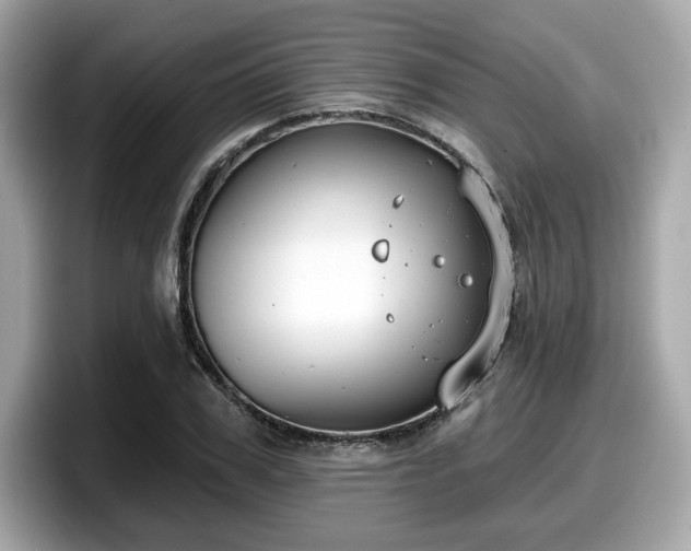 X0000098110979200804111052