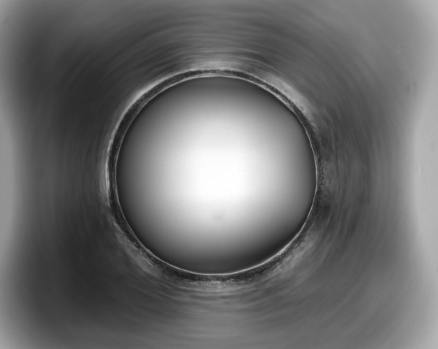 X0000098110980200804111052